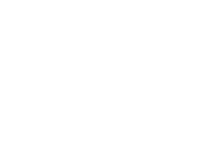 PRO-TEC Logo weiß